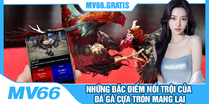 Những Đặc Điểm Nổi Trội Của Đá Gà Cựa Tròn Mang Lại